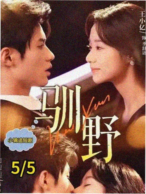 高清电视剧 免费观看